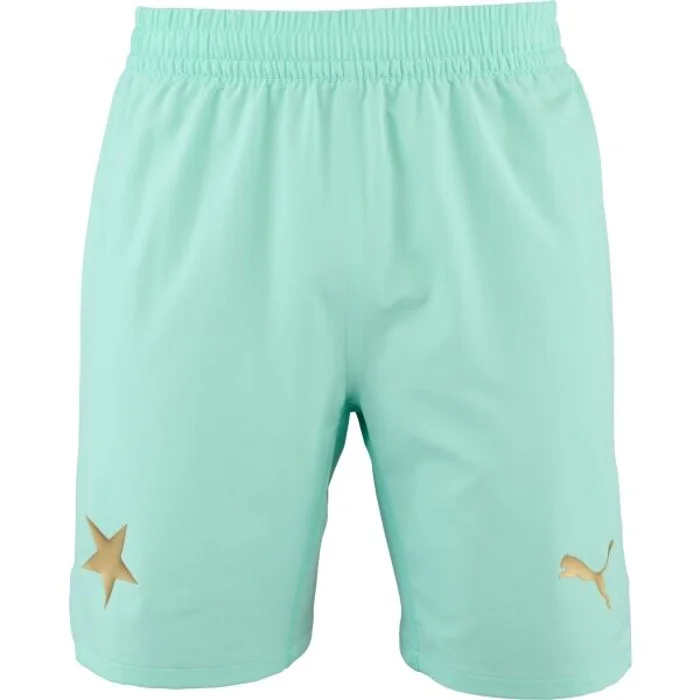 Puma SKS SHORTS PROMO Pánské fotbalové šortky, tyrkysová, velikost